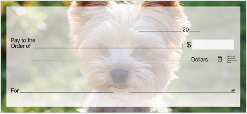 Yorkshire Terrier Checks