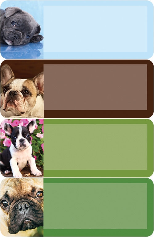 French Bulldog Address Labels