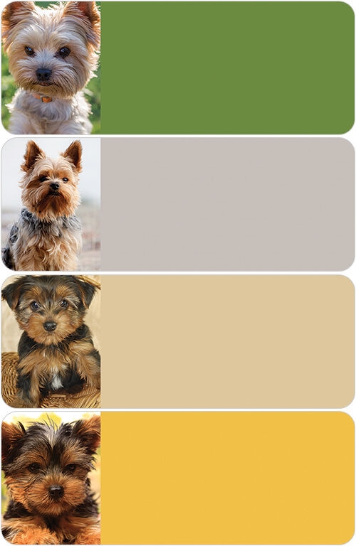 Yorkshire Terrier Address Labels