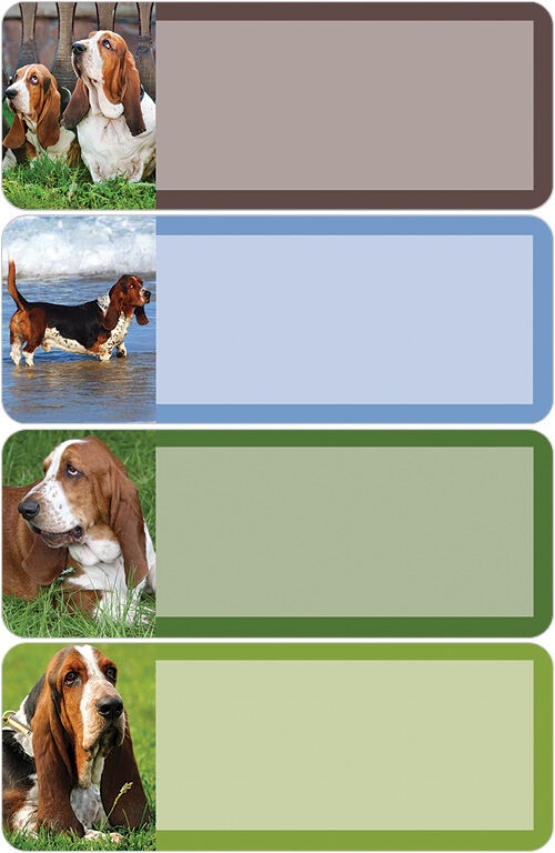 Basset Hound Address Labels