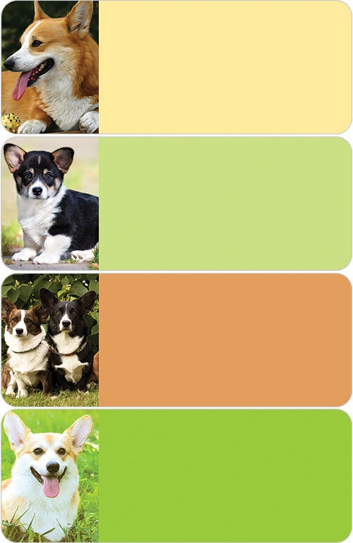 Welsh Corgi Address Labels