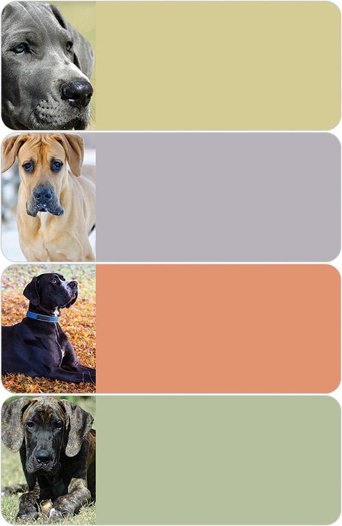 Great Dane Address Labels