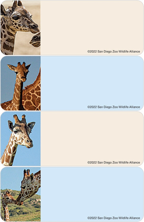 San Diego Zoo Wildlife Alliance Giraffe Address Labels