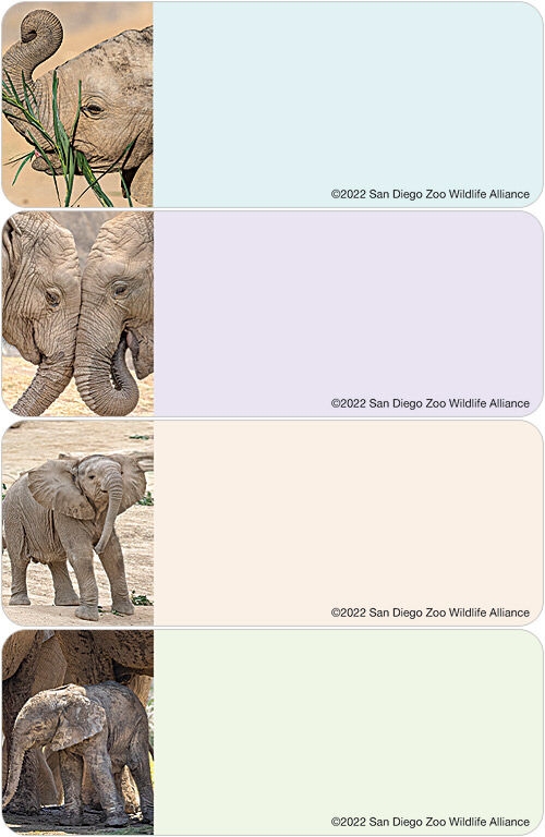 San Diego Zoo Wildlife Alliance Elephant Address Labels