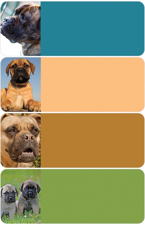 Mastiff Address Labels