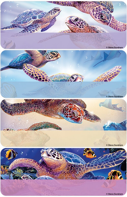 Sea Turtle Address Labels