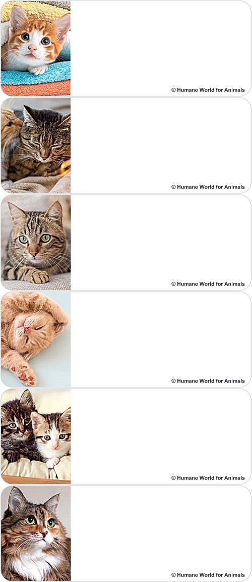 Humane World for Animals Cats Address Labels