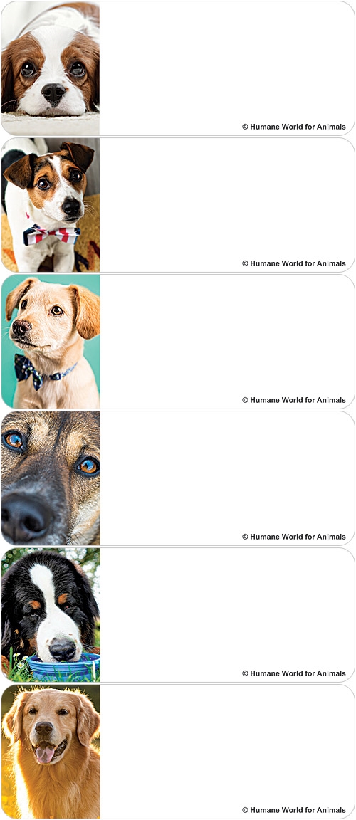 Humane World for Animals Dogs Address Labels