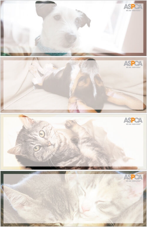 ASPCA®  Address Labels