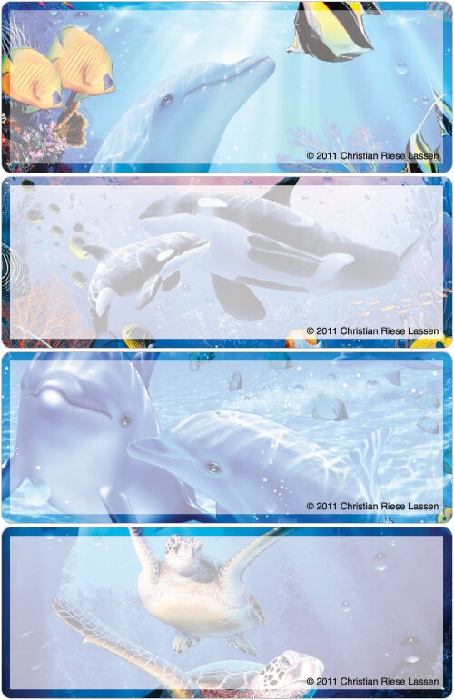 Underwater Treasures Address Labels