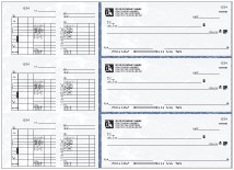 Payroll Business Check - Salaried employees Thumbnail