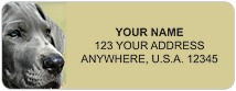 Great Dane Address Labels