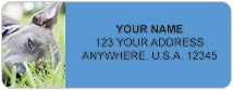 Pit Bull Address Labels