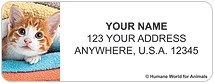 Humane World for Animals Cats Address Labels