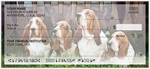 Bassett Hound Checks