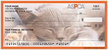 ASPCA® Kittens Checks Thumbnail