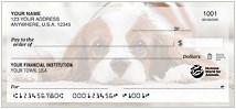 Humane World for Animals Dogs Checks