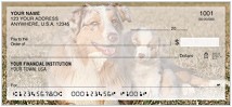 Australian Shepherd Checks Thumbnail